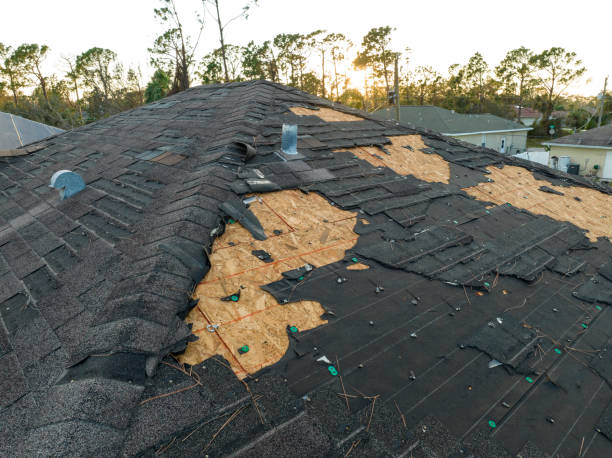 Best Asphalt Shingle Roofing  in Tuntutuli, AK